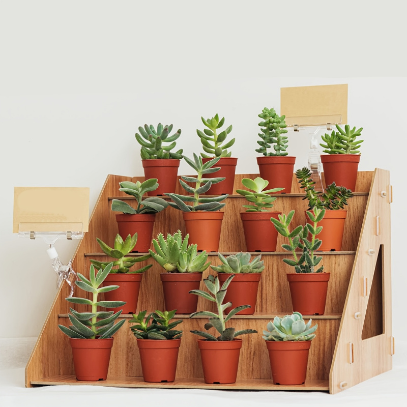 Pop Display Shelf - ชั้นวางโชว์สินค้าทำจากไม้, ชั้นวางสำหรับงานตลาดเกษตรและงานฝีมือ, ชั้นวางโชว์เทียนและสบู่, ชั้นจัดระเบียบสำหรับเคาน์เตอร์ร้านค้าแบบป๊อปอัพ สำหรับวางแก้ว